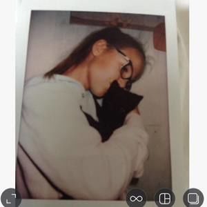 Meet your Posher, Ray